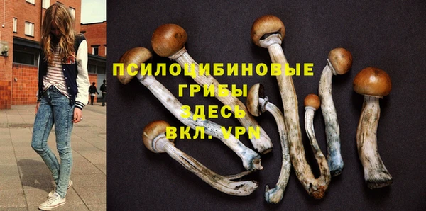 apvp Белокуриха