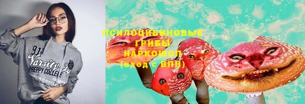 apvp Белокуриха