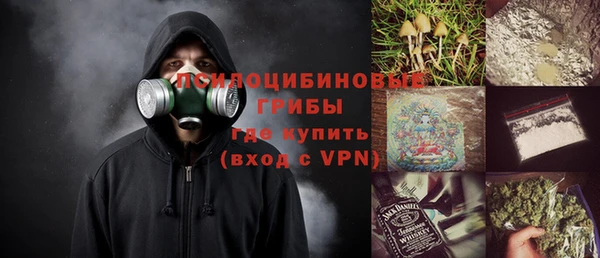 apvp Белокуриха
