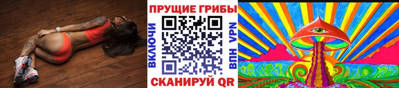 Псилоцибиновые грибы Cubensis  наркотики  Тобольск 